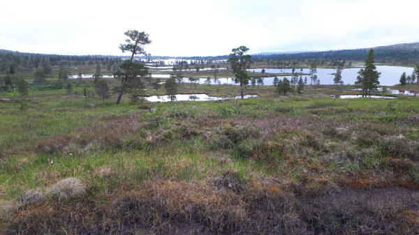 See Seisøfiskløysa