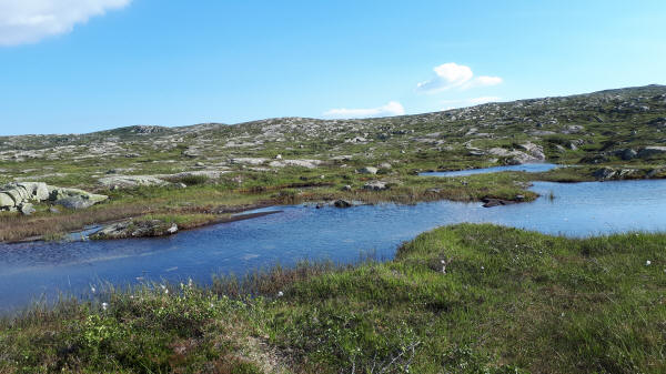 Fjell