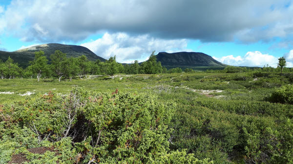 E1 in Norwegen