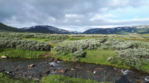 Nordkalottleden