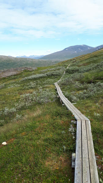 Holzbohlenweg