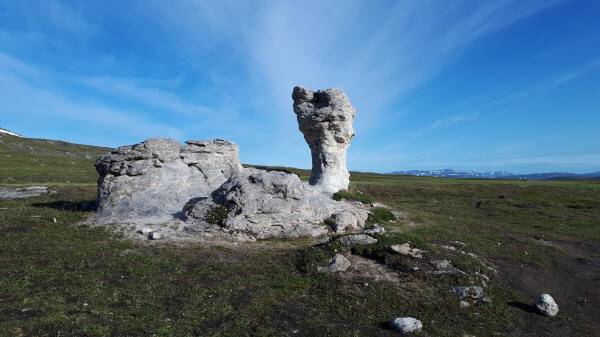 Felsen