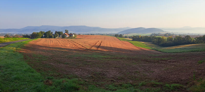 Lotzenkopf